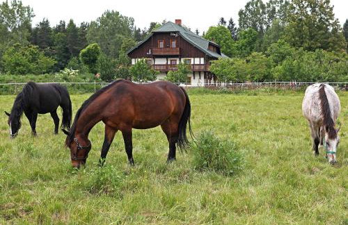 Osada Jeździecka Bata - Photo 7