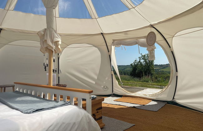 Nest and Nurture - Photo 17