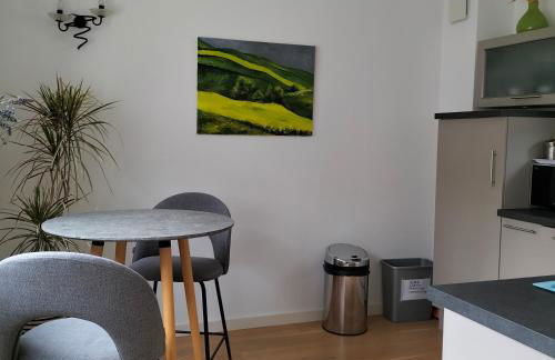 Appartement hyper centre - parking - Foto 10