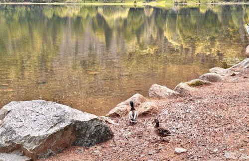 HAUS AM SEE - Natur Pur - Foto 2