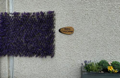 Helens Lybster cosy cottage on NC500 - Foto 41