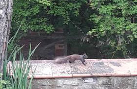 Villa Francesca - Foto 12