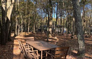 Poconos Chalet -Kayaks- HotTub-Karaoke-Lake - Foto 67