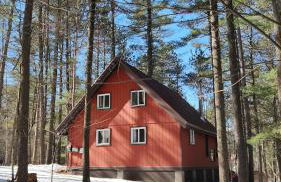 ADK Forest Cabin near Lake Placid with Hot Tub and Ice Bath - Foto 40
