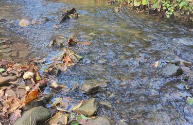 Sielanka, wyjątkowy dom, jacuzzi - Foto 52