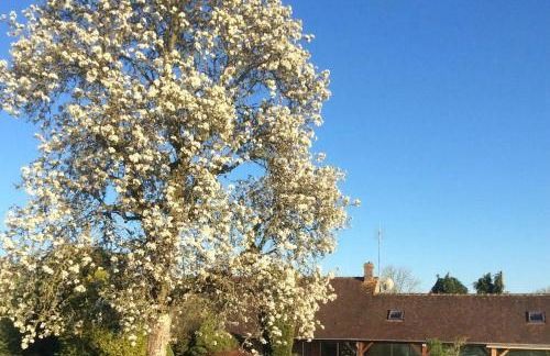 La Fontaine du Perche - Home Cinéma, Sauna, SPA, piscine intérieure chauffée jusqu'à fin novembre - Foto 24