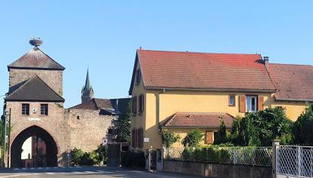 Le p'tit coin de chez nous - Foto 2