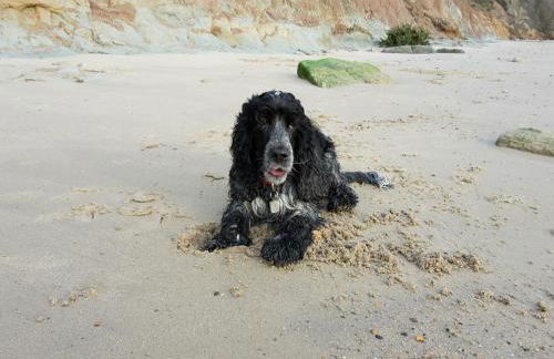 HighTide - 2 bed with parking, balcony & sea view. - Photo 18