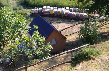 LaGaressina suite Anna - Jacuzzi & Spa - Foto 30