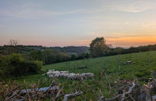 Plum Cottage Somerset - Foto 36