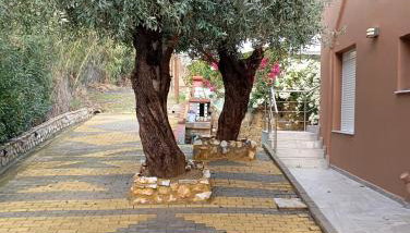 Δίπλα στο κύμα -Βeside the wave - Foto 5