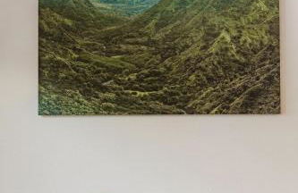 Puamana Maluhia - Two Bedroom / Two Bath Condo - Foto 9