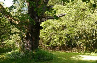 Shinnel House - Foto 33