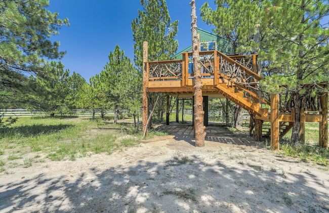 Tree Eagles Nest - Foto 29