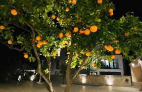 Villa Ludilo mit 4 Apartments in Poljica - Marina bei Trogir Split - Photo 21