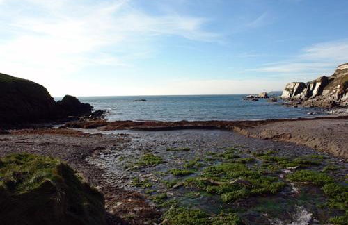 Ayrmer Path - Foto 26