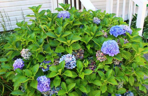 A Slice of High Country Heaven, Seven Devils Condo - Foto 48