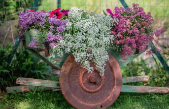 Agriturismo Country Casale Rufo - Foto 61