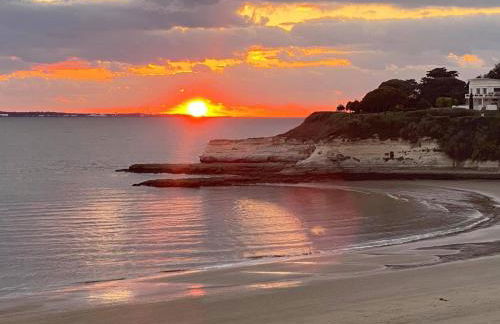 Villa le dauphin Meschers 4 étoiles vu Mer - Foto 10