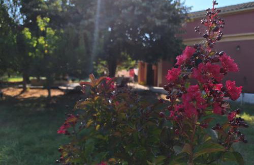 A Sense of Calm & Relaxation - Foto 33