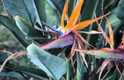 SEA SUITE Romantic Beachfront Apartment Cotobro Beach, Almuñecar - Photo 34
