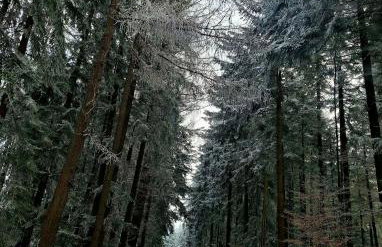 Krynica Zdrój - Dom nad wodą - Foto 7