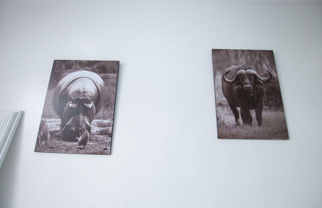 G Great Rift Villas - Foto 51