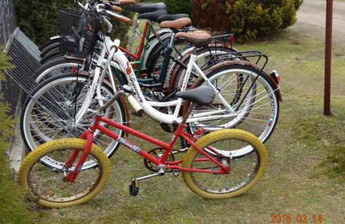 Agroturystyka Pod Klonem - Foto 76