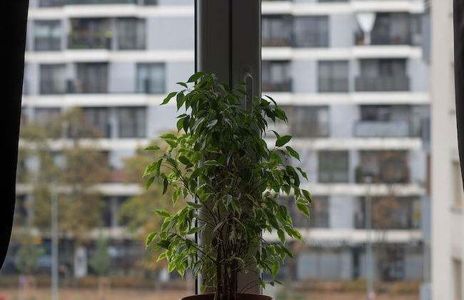 Turquoise Blue Apartment by Renters - Foto 32