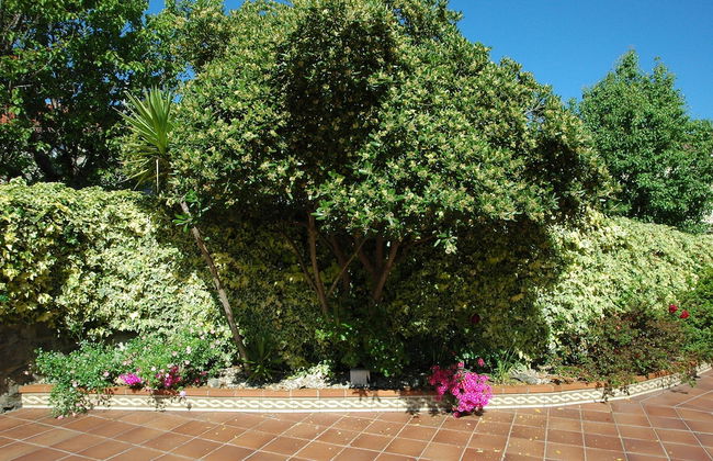 Os Migueliños - Foto 23