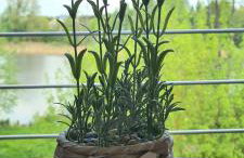 Mieszkanie nad Iławką - 2 pokoje, kuchnia, łazienka, balkon, parking, wi-fi - Foto 26