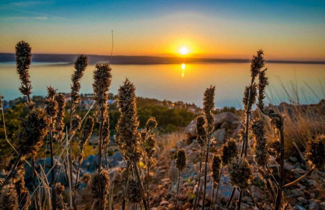 Your Perfect Adriatic Getaway - Photo 27