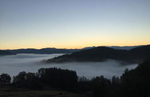 Gîte du dahu barbu - Foto 5