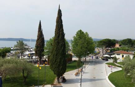 Graziosa Al Porto - Foto 22