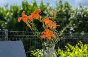 Charming Apartment In Kastav - Photo 16