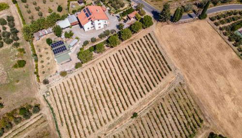 Sole Verde green house - Foto 2