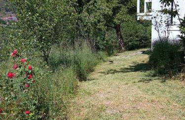 O Salgueiral - Foto 37