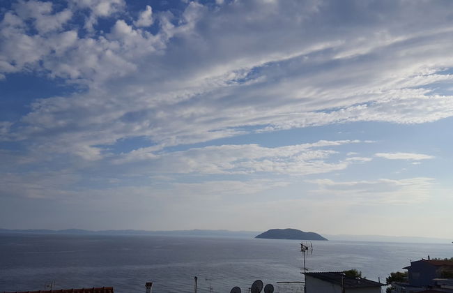 Natalie Apartments - Photo 29