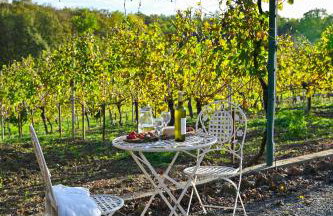 VAL HILLS Rural Holiday House - Foto 47