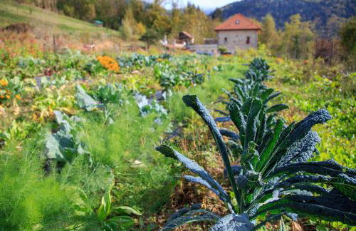 Agriturismo Fattoria Ortoalpino - Foto 79