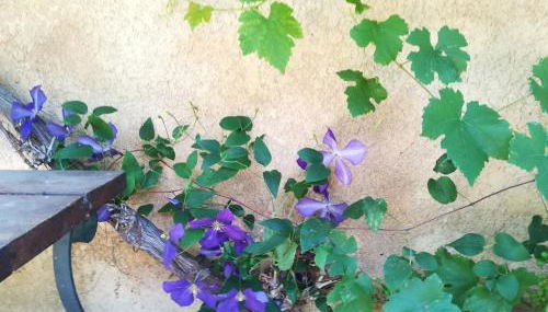 Charmant cocon, jardin, aux portes de Verneuil - Foto 3