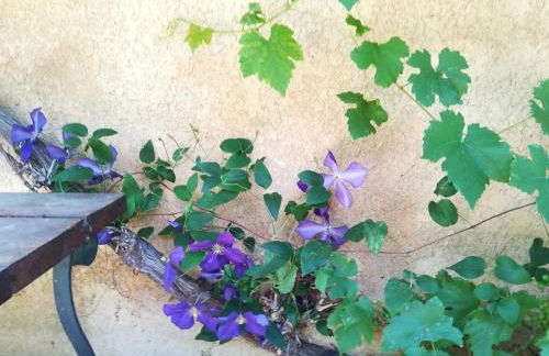 Charmant cocon, jardin, aux portes de Verneuil - Foto 3