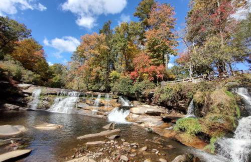 Healing Acres - Foto 58