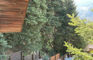 The forest chalet in Parnassus - Foto 25