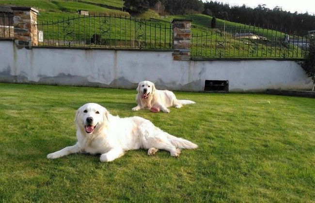 Apartamentos Rurales La Torre - Foto 41