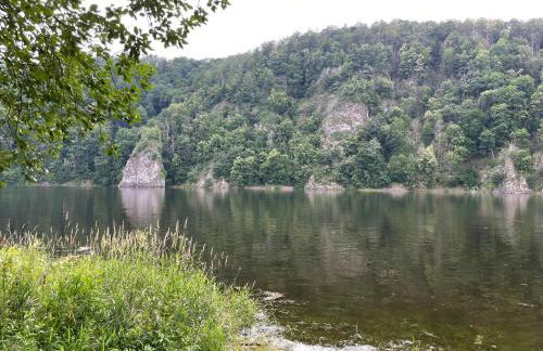 Apartments Saaldorf-Ferienhaus mit 6 Apartments 45qm-120qm direkt am Thüringer Meer-Bleilochtalsperre - Foto 26