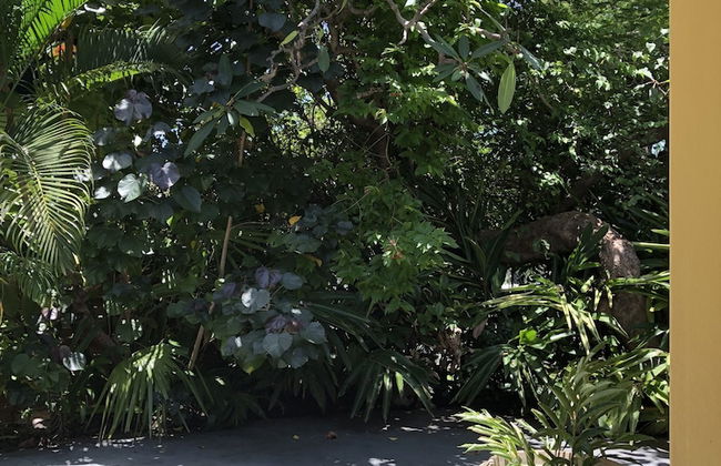 Serenity on Magnetic - Foto 34