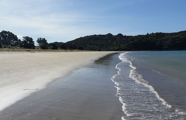 Flaxmill Accommodation - Foto 39