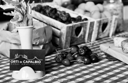 Orti di Capalbio - Foto 29