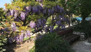 Apartments Marina - Foto 3